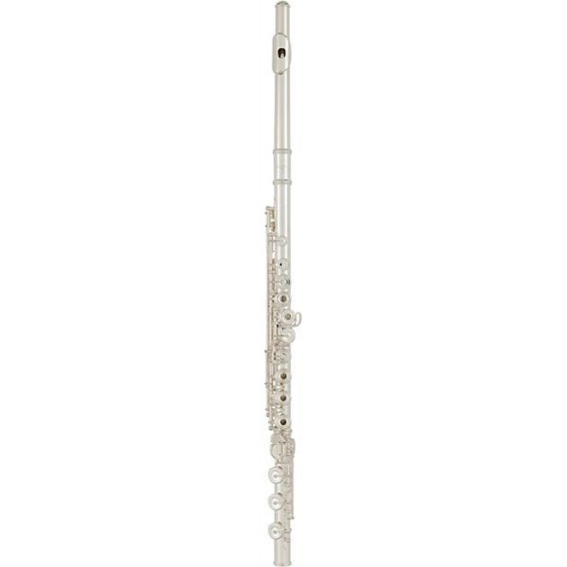 Allora Vienna Series Intermediate Flute Offset G B-Foot