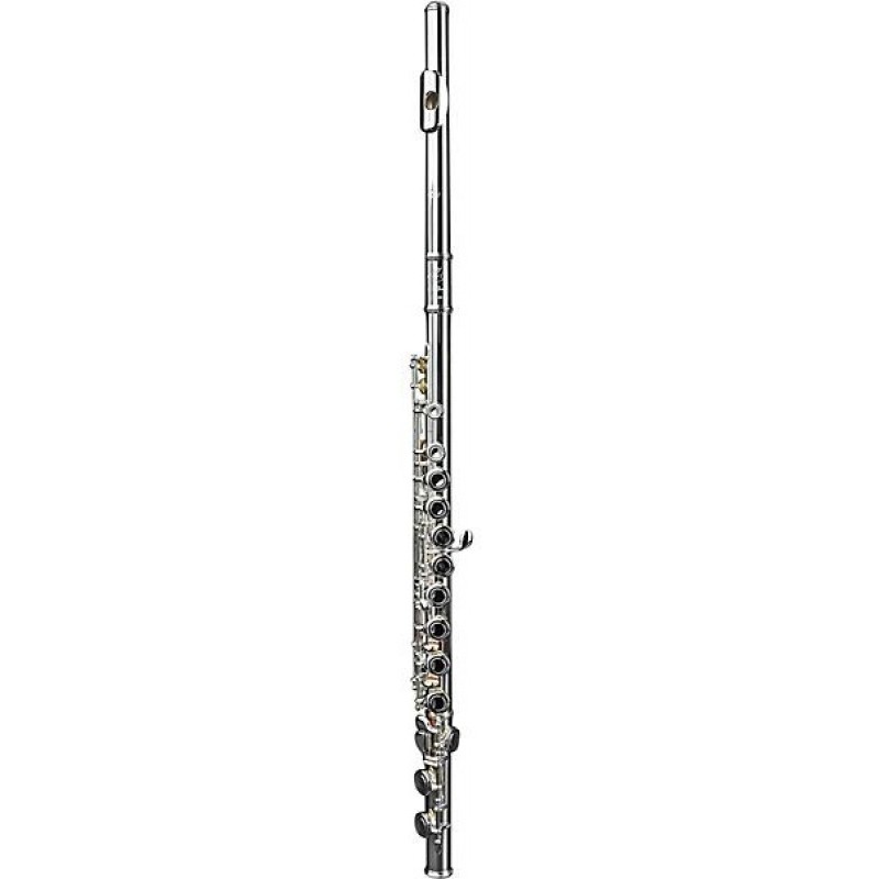 Di Zhao DZ 301 Student Flute, Closed Hole, Y-Arms, Sterling Silver Riser and Lip-plate Offset G C-Foot