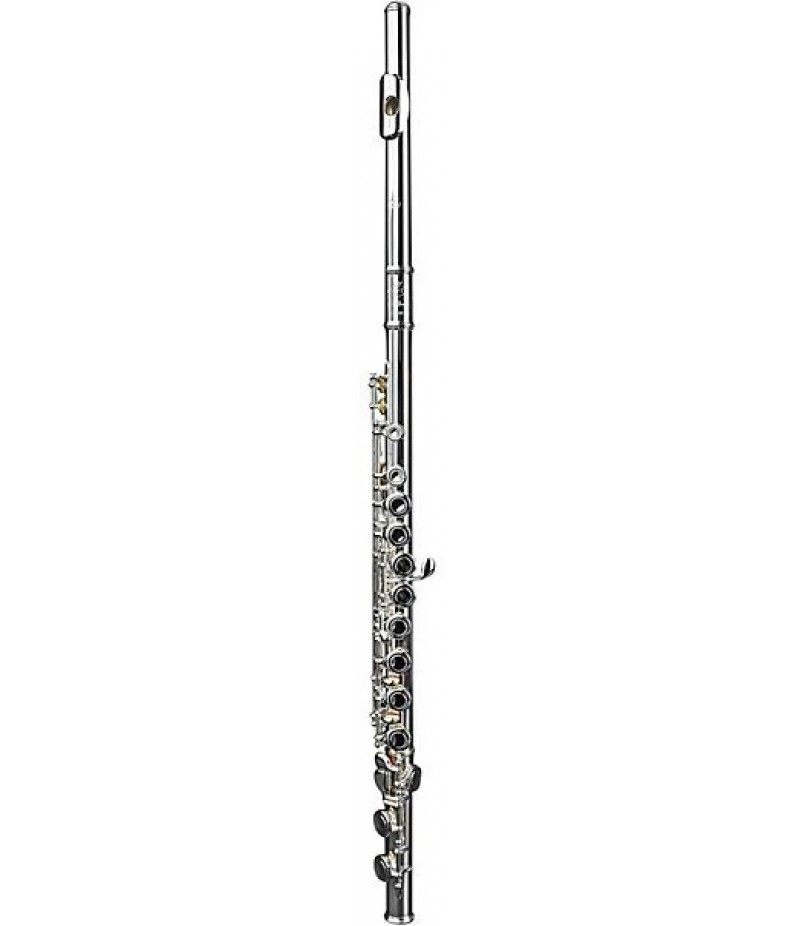 Di Zhao DZ 301 Student Flute, Closed Hole, Y-Arms, Sterling Silver Riser and Lip-plate Offset G C-Foot