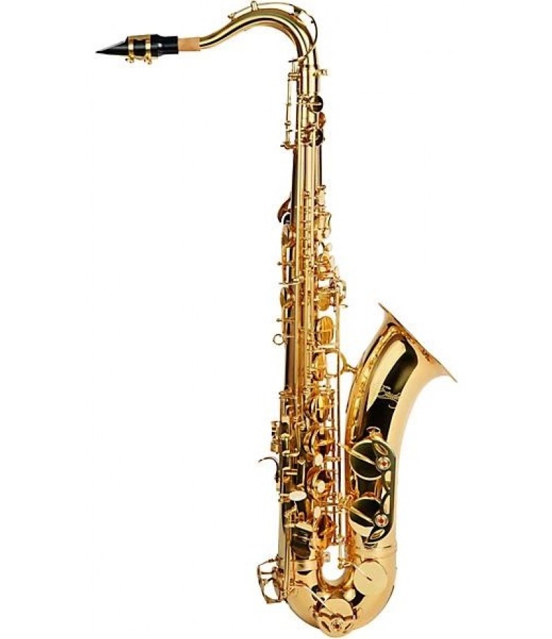 Etude ETS-200 Student Series Tenor Saxophone Lacquer